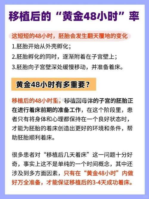 试管婴儿、移植成功、着床率、医疗技术