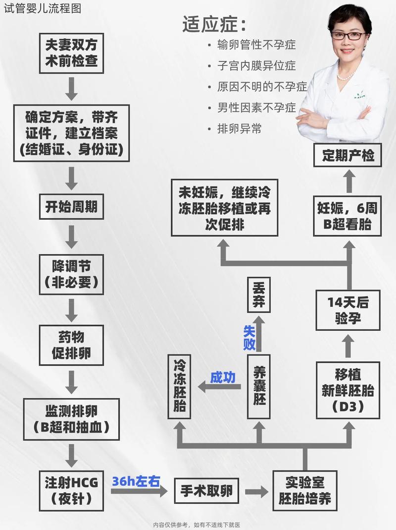  试管婴儿流程