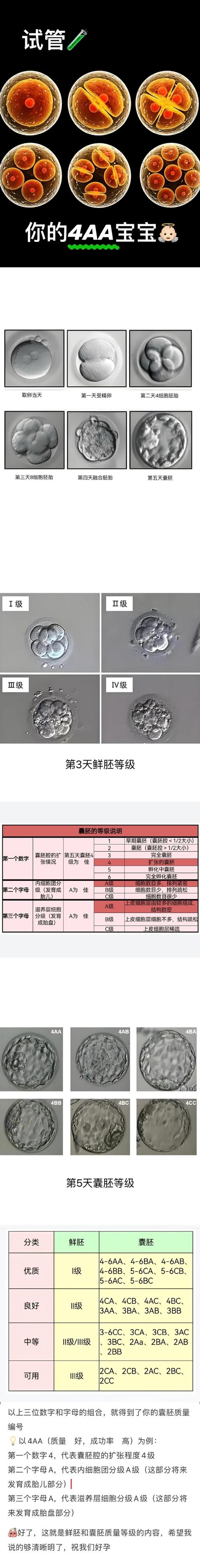 胚胎质量提升