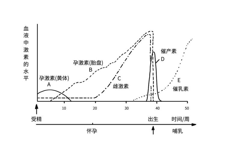 激素变化