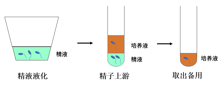 上游法