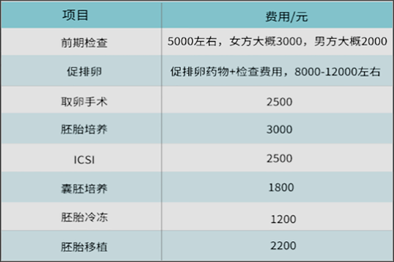 聊城试管婴儿费用