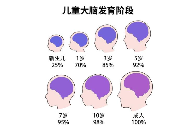 发育阶段