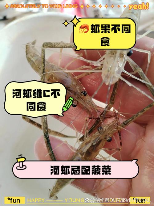 试管婴儿饮食指南：河虾能吃吗？