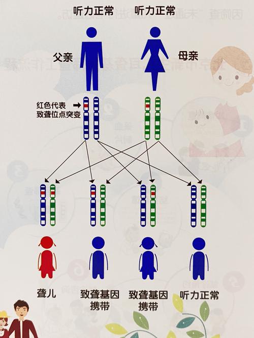 遗传疾病筛查