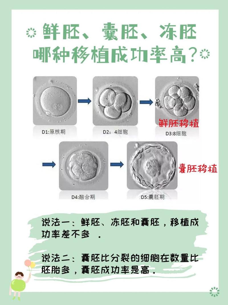 试管婴儿、鲜胚移植、生殖医疗