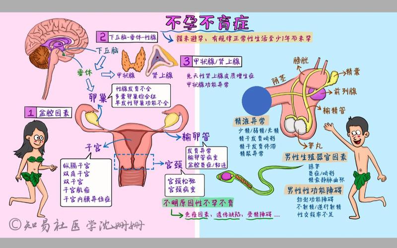  女性不孕