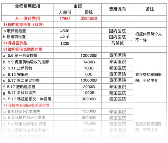 巴西试管婴儿、医疗费用、生殖技术