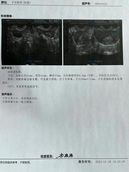 卵泡太小