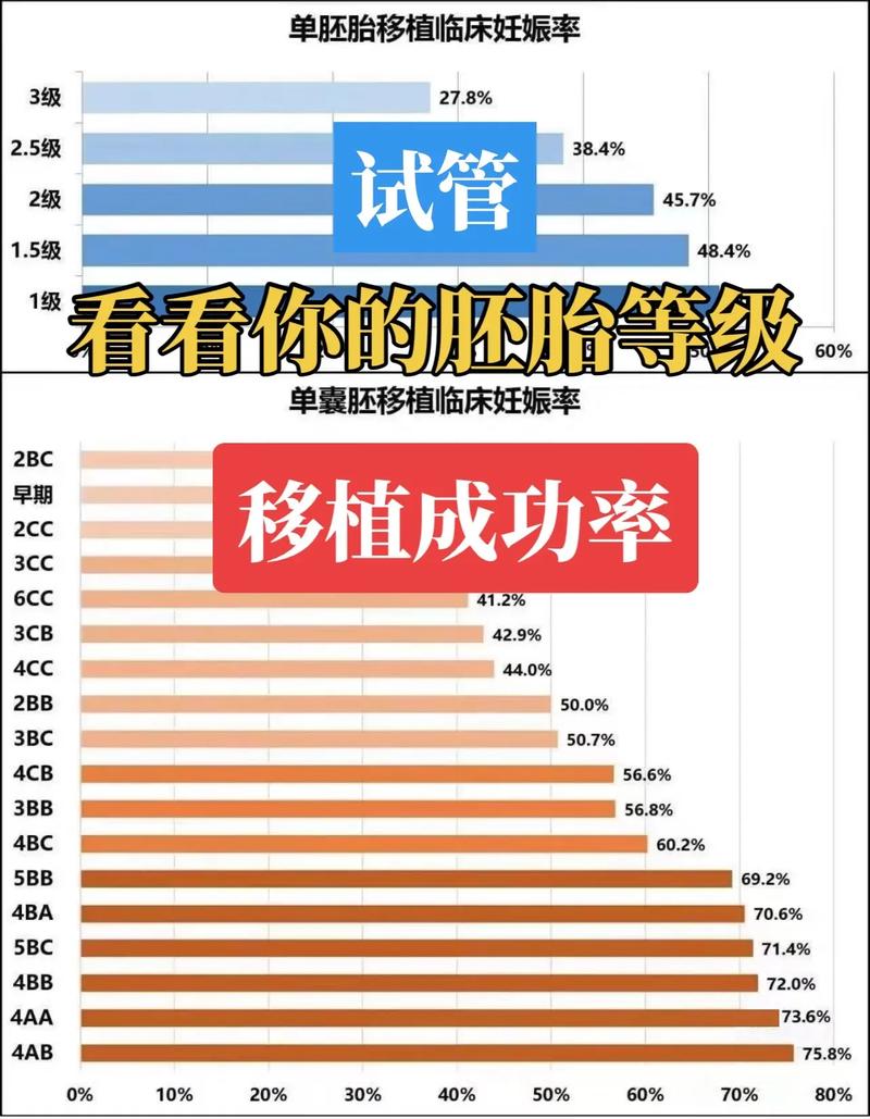  移植成功率