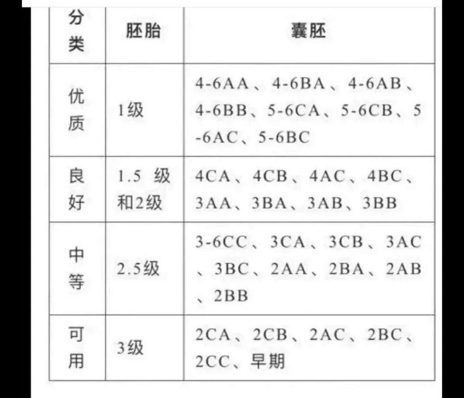 2 级胚胎