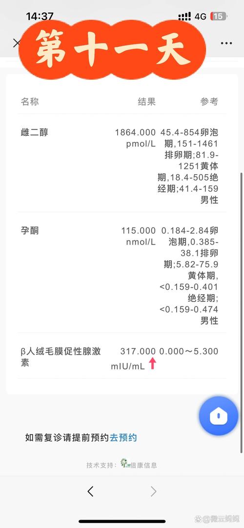 胚胎移植数量