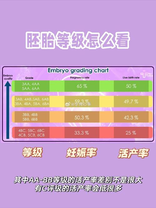 试管婴儿、囊胚移植、成功率、医疗、生殖