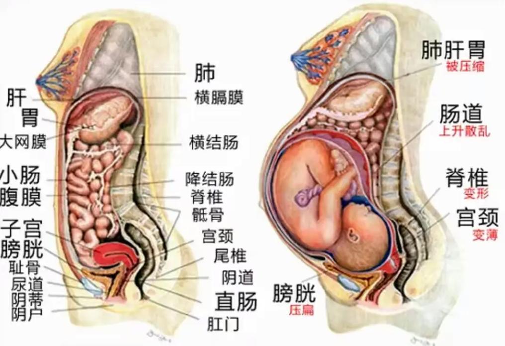 孕妇体内无洞