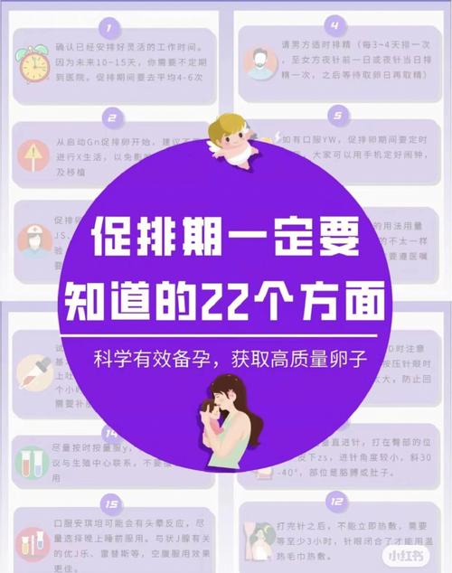 试管婴儿成功后还能排卵吗？