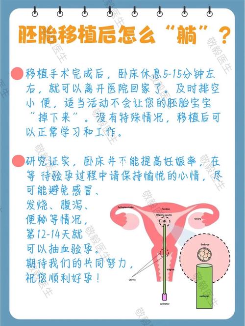 试管婴儿移植后为什么要静卧？