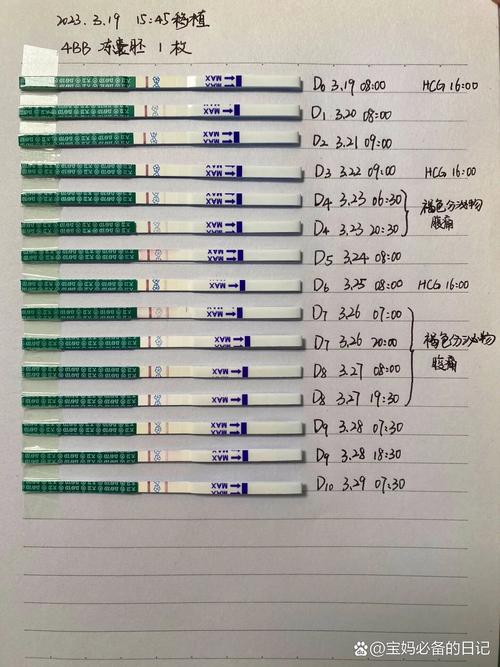  囊胚期移植