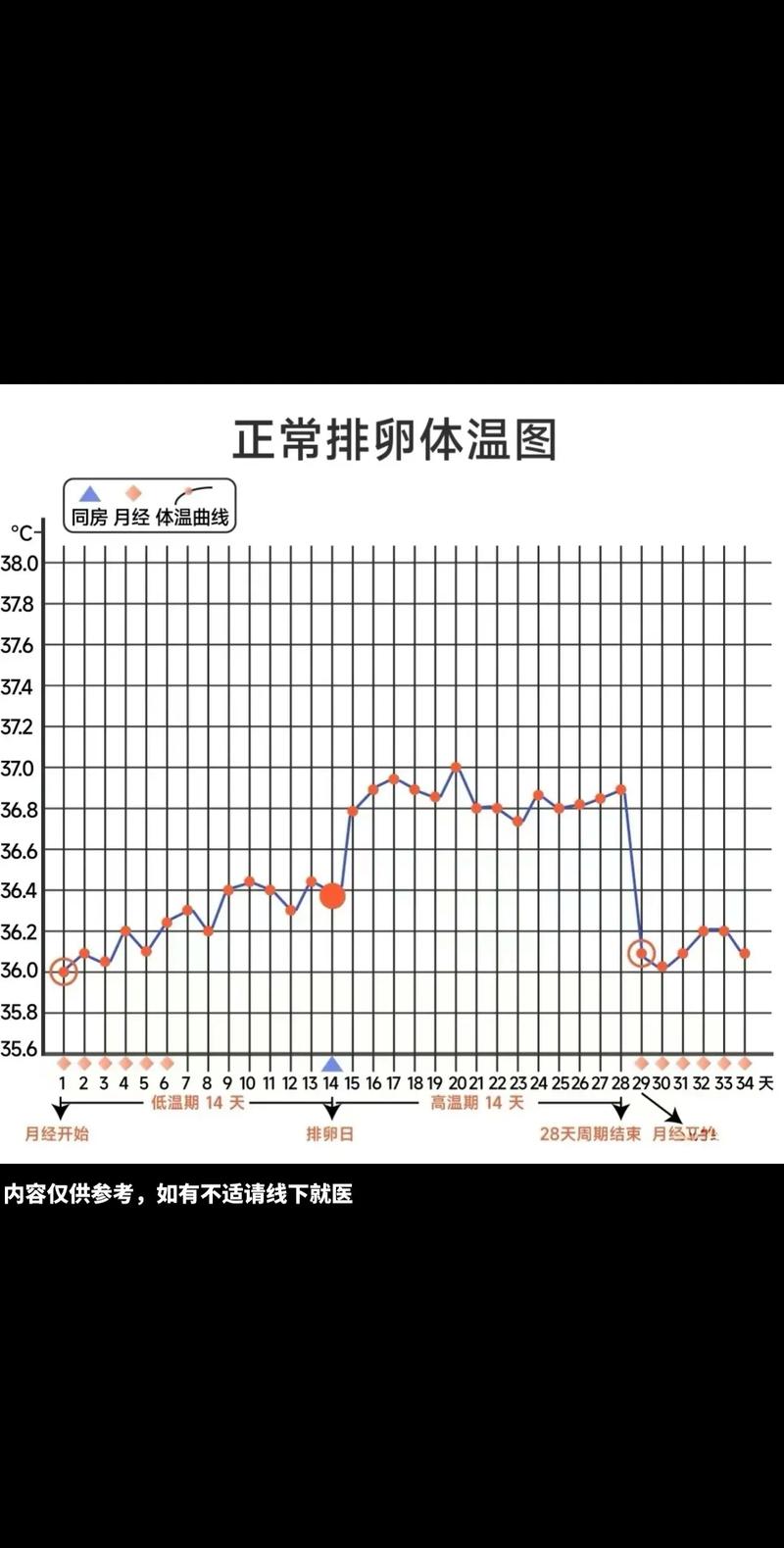  排卵监测