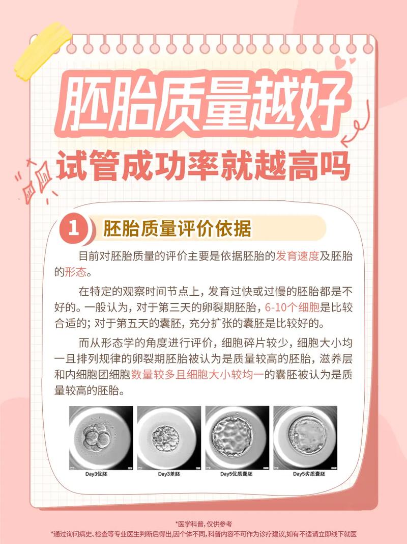 试管婴儿：中国成功率高吗？