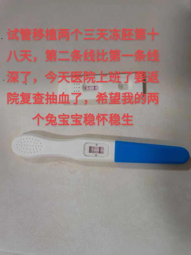 试管婴儿14天后为何会流产？