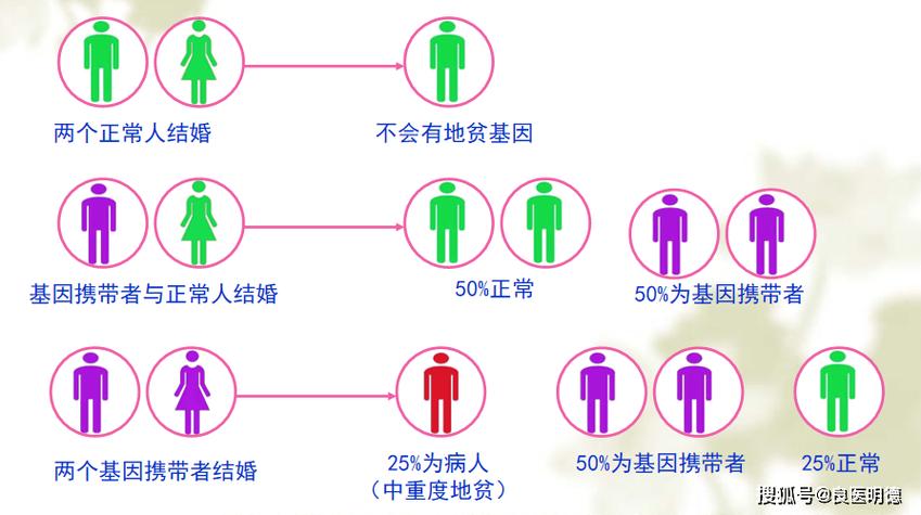 试管婴儿与贫血风险：有关系吗？