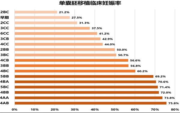 囊胚移植成功率