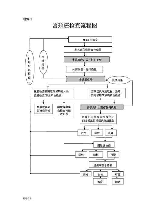 筛查流程