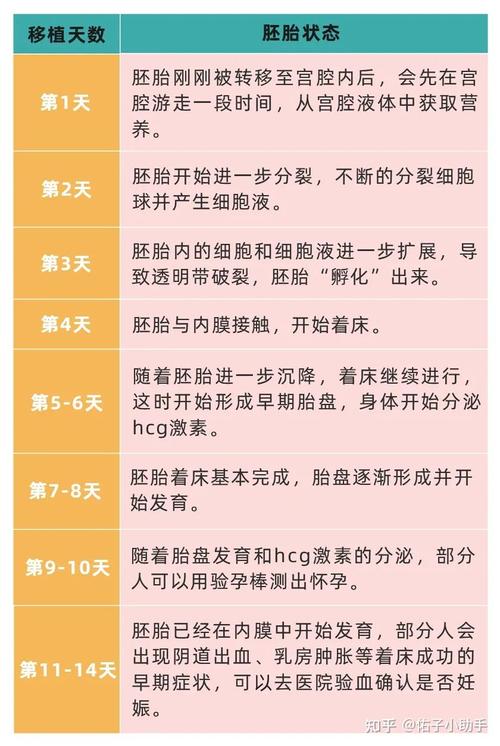 试管婴儿移植后为何没有明显感觉？