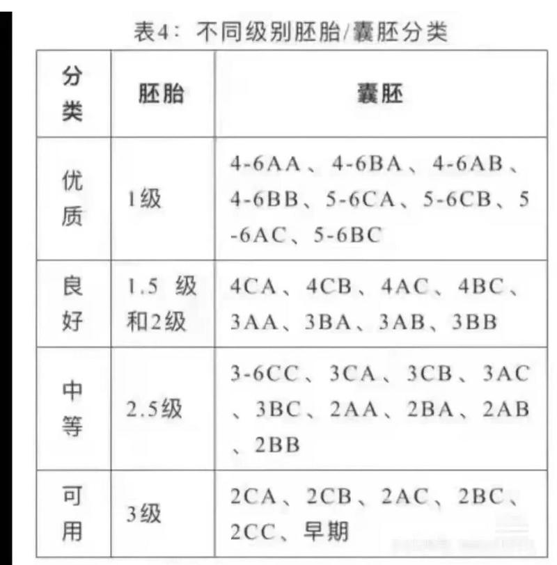 囊胚移植数量