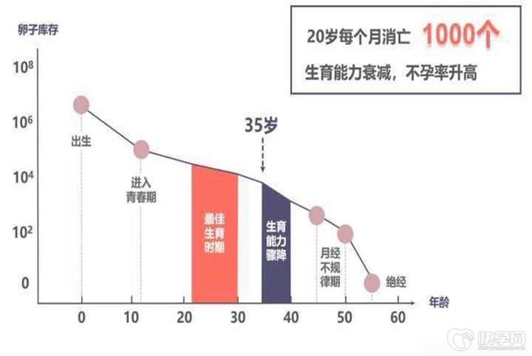 揭秘试管婴儿的理想生育年龄范围