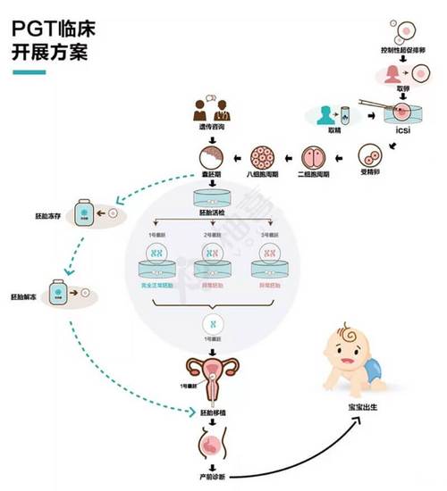 全球试管婴儿服务网络图解