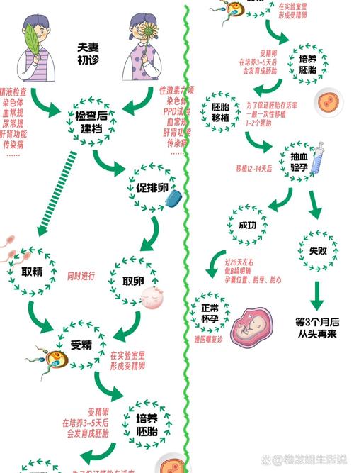 试管婴儿移植前无需母体吗？