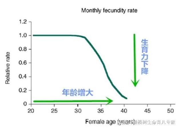 美国试管婴儿成功率与影响因素分析