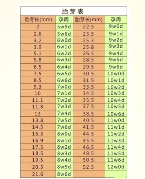 胚胎生长速度