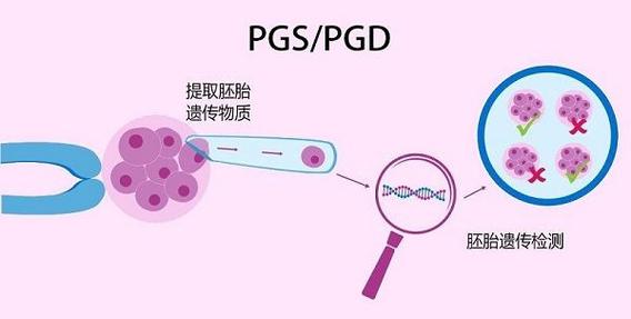 PGD/PGS技术