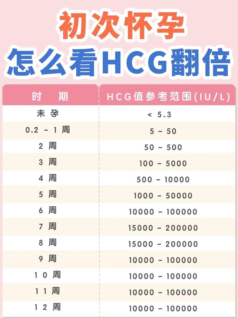  HCG翻倍